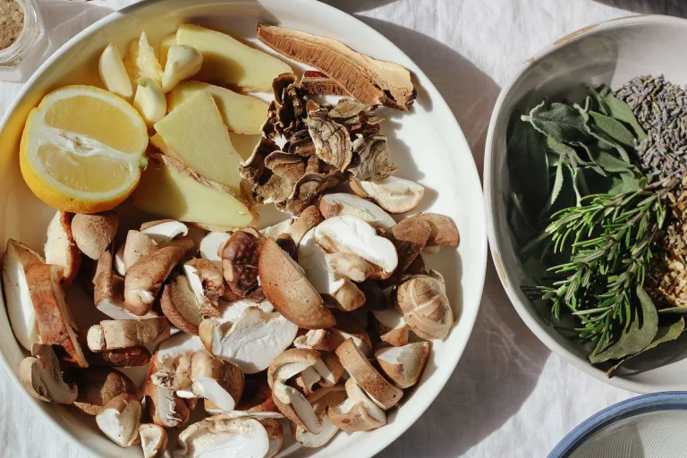 Magic Shroom Broth