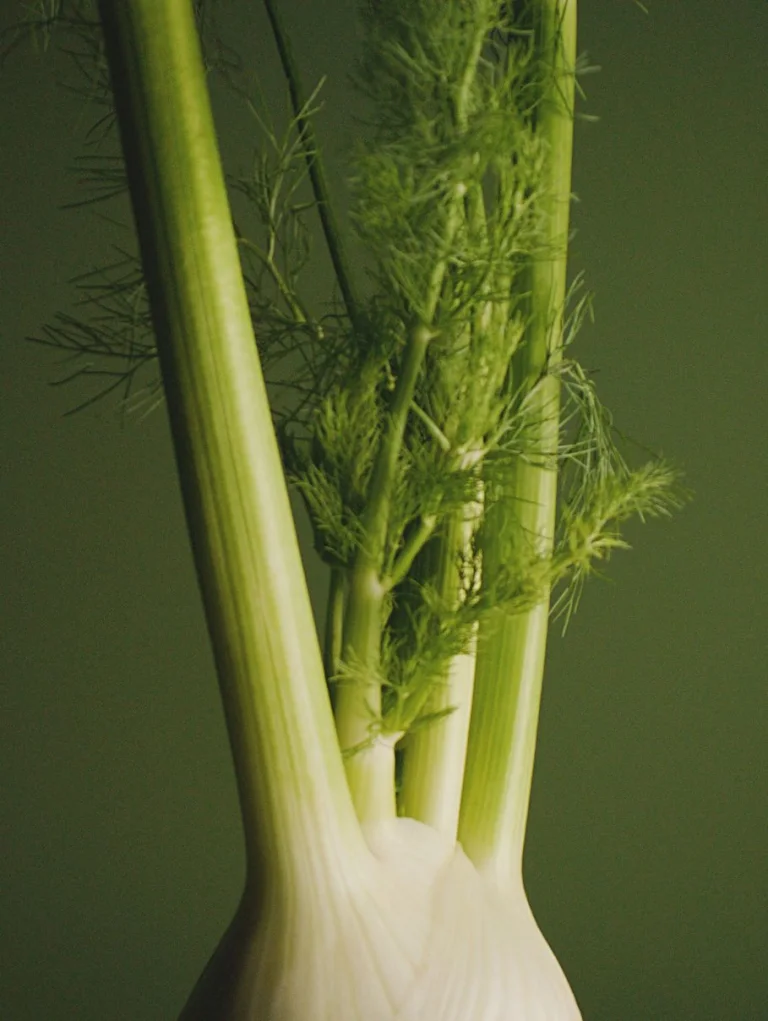 Sakara Life Signature Nutrition Program