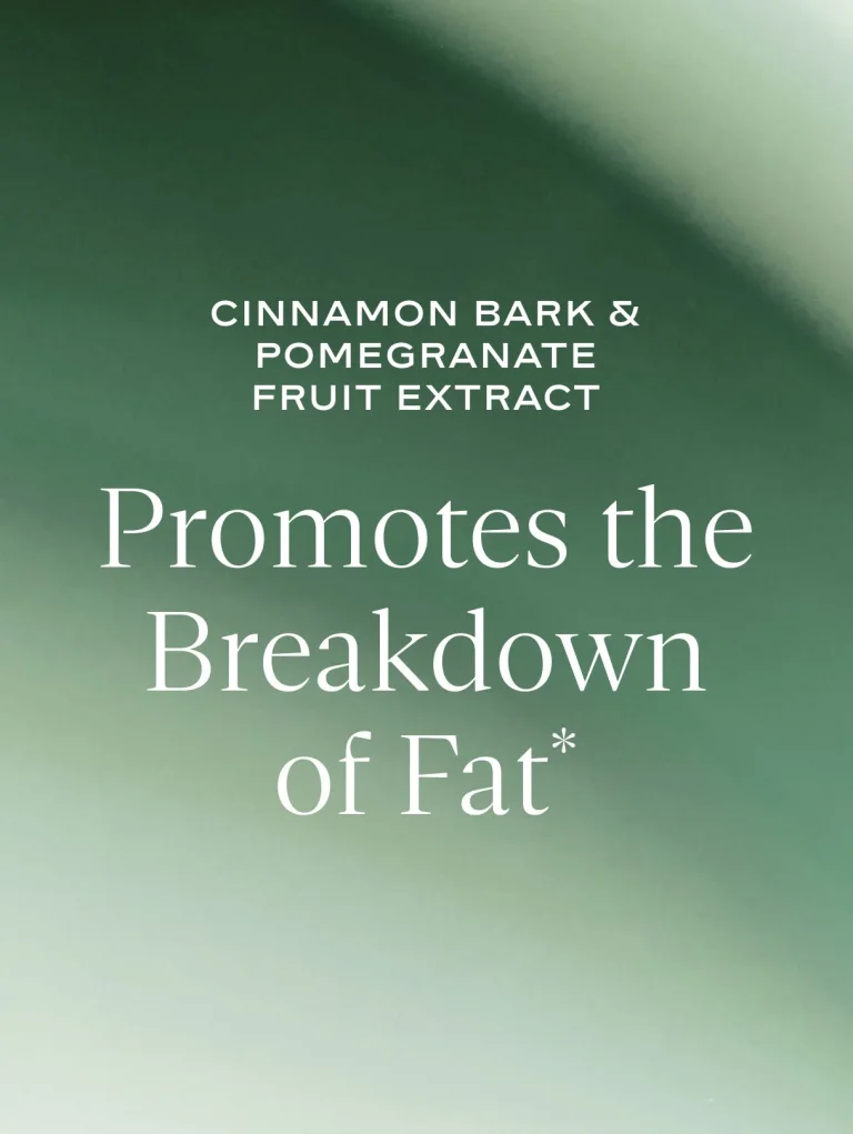 Sakara Metabolism Bite thermogenic gummies graphic on soft green gradient background stating cinnamon bark and pomegranate fruit extract promote the breakdown of fat