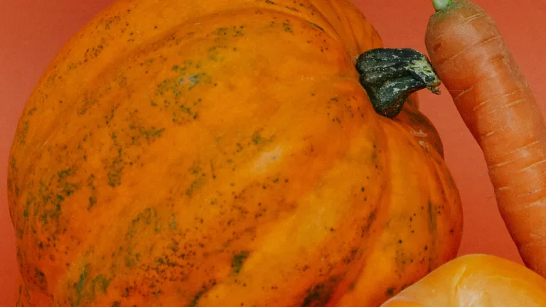 Close-up of an orange pumpkin and a carrot against a warm-toned background.