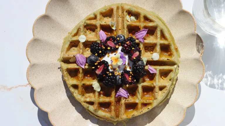 Golden waffle topped with berries, yogurt, and edible flowers on a scalloped plate.