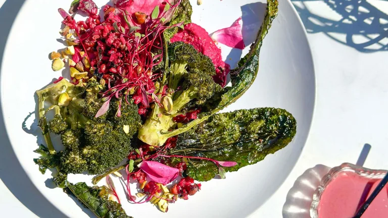 White plate with roasted broccolini and colorful shredded vegetables arranged on top.