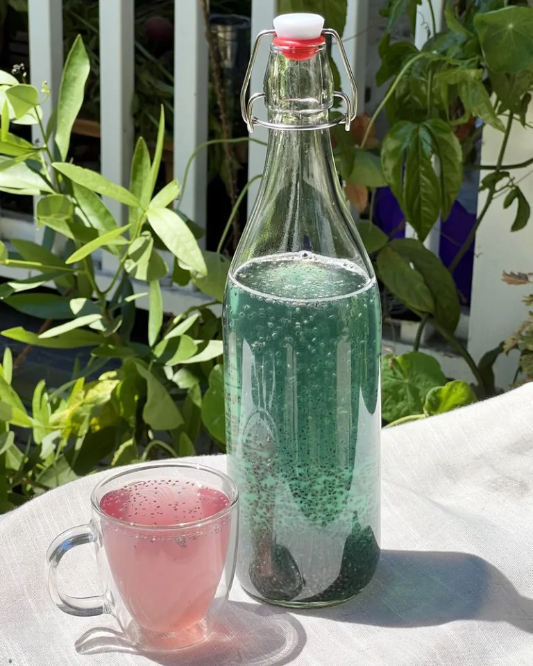 Clear bottle and mug of pink beverage with visible soaked chia seeds in sunlight.