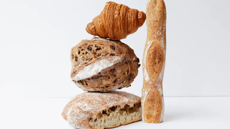 Assortment of rustic baked breads including baguette, round loaf, multigrain loaf, and croissant on a white background.