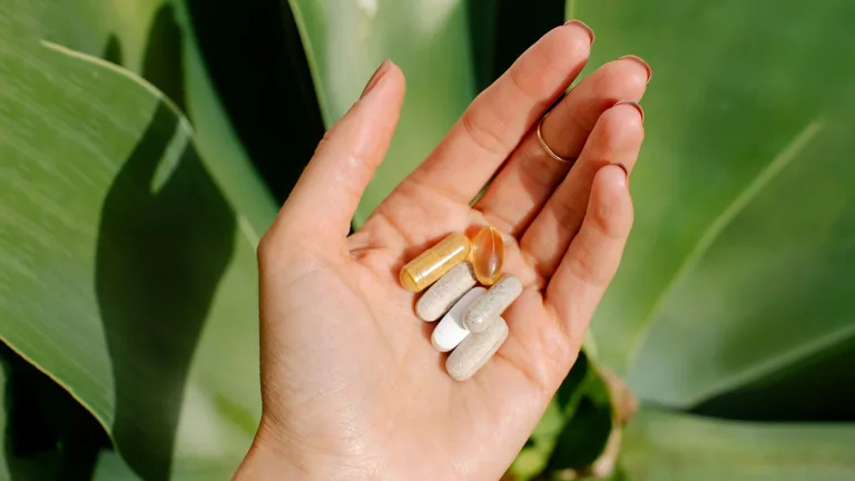 Open hand holding assorted Sakara Foundation supplement capsules against large green leaves.